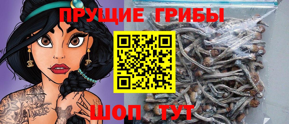 Псилоцибиновые грибы ЛСД  Псилоцибиновые грибы мухоморы  Кувандык  Вход с VPN 