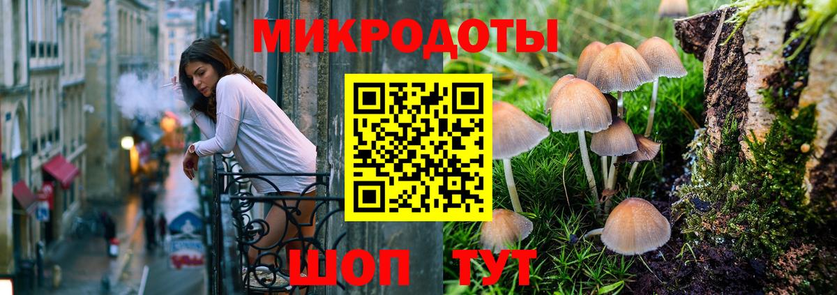 Галлюциногенные грибы Psilocybe Кувандык